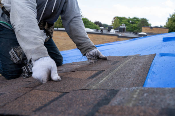 Best Local Roofing Companies  in Gruetli Laager, TN