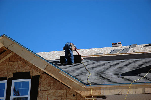 Best Roof Gutter Cleaning  in Gruetli Laager, TN