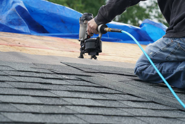Professional Roofing Contractor in Gruetli Laager, TN