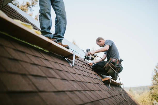 Gutter Installation and Roofing in Gruetli Laager, TN